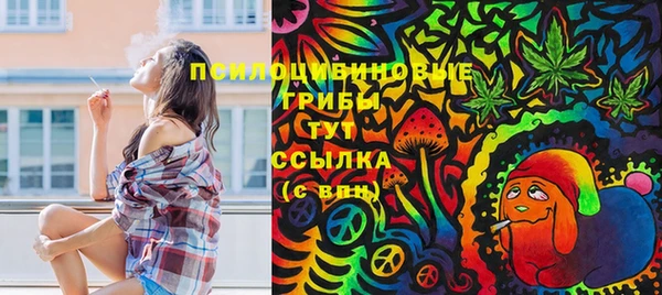 крисы Абдулино