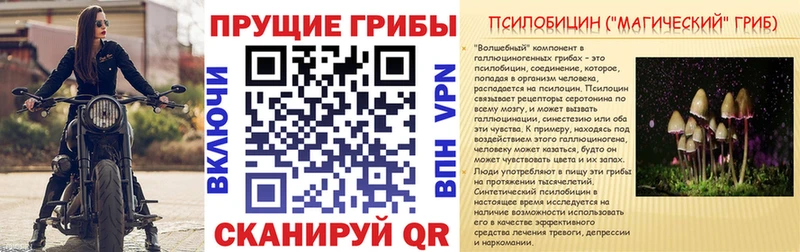 Галлюциногенные грибы Cubensis  Струнино 